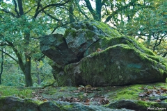 nouvphoto2